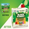 Black Forest USDA Organic Gummy Bears - 65 Pouches -