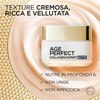 AGE PERFECT - Rehydrating Night Cream