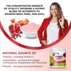 Vegs Pomegranate Juice Powder - Freeze Dried Organic Pomegranate Powder