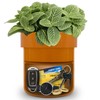 ISLANDSAFE Diversion Safe, Secret Hidden Key Safe Lock Box, Flower