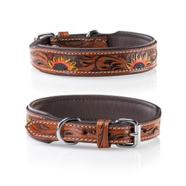 Jack & Russell Unique Leather Dog Collar, Hand Carved and Padded, Buffalo Leather Dog Collar Soleil (XL/48.0-58)