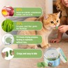 DYD - Gefriergetrocknete Kräutersnacks für Katzen 50g