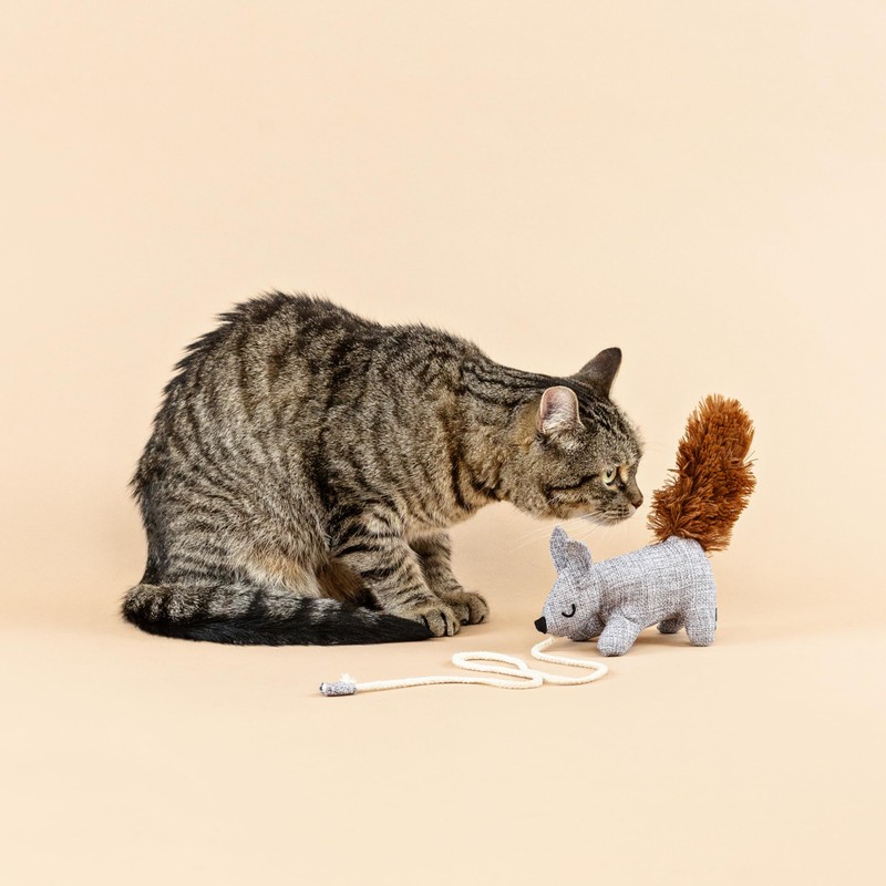 Fringe Studio "ONE TUFF NUT Teaser Cat Toy, PetShop Collection
