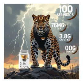 Cla + Carnitina Suplemento Stormcheetah 1kg Polvo 100servis