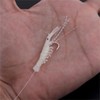 Conskyee Luminous Shrimp Baits Set, 6 Pack Soft Fishing Lure