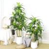 Artificial Decorative Tree 5ft with Leaves Plastic Indoor for Entryway
