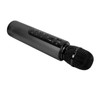 Bluetooth Karaoke Mic Dual 5W Speakers Clear Sound 2000mAh Battery