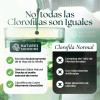 Nature Sunshine Chloro Feel Clorofila Líquida 473ml Menta
