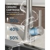 FORIOUS Kitchen Faucet with Pull Down Sprayer, Brushed Nickel, Classic