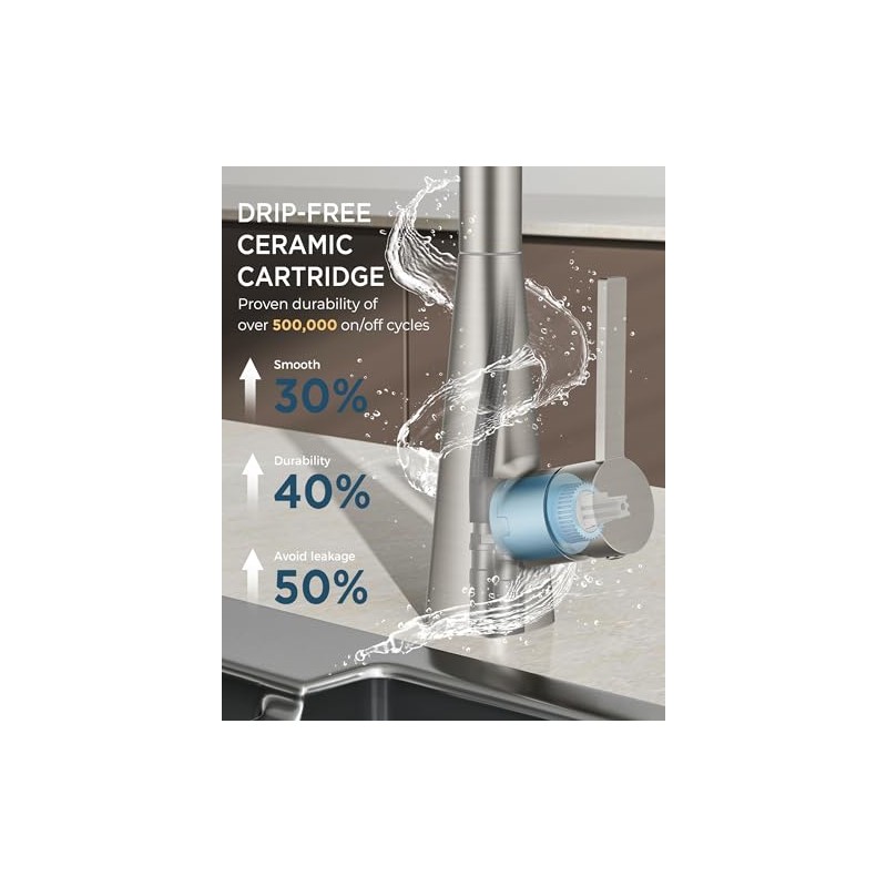 FORIOUS Kitchen Faucet with Pull Down Sprayer, Brushed Nickel, Classic
