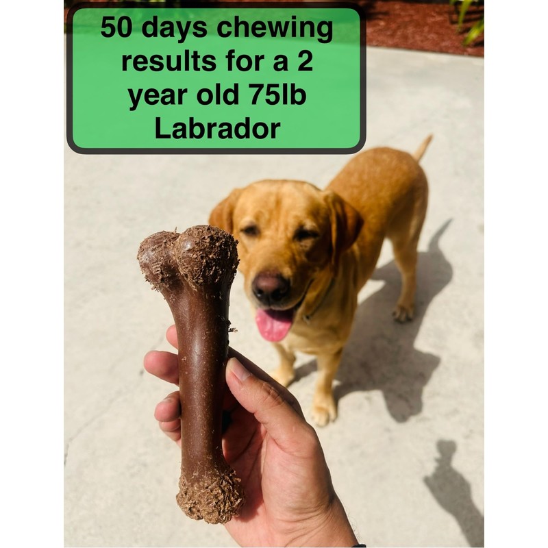 TypicalEve Chew Toy Bone for Dogs (2pck),Durable Chew Toy for