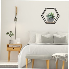 Parliky Sleek Hexagon Wire Shelving Iron Wall Shelf for Plant Flower Succulent Pot Wall Storage Easy Access Decor