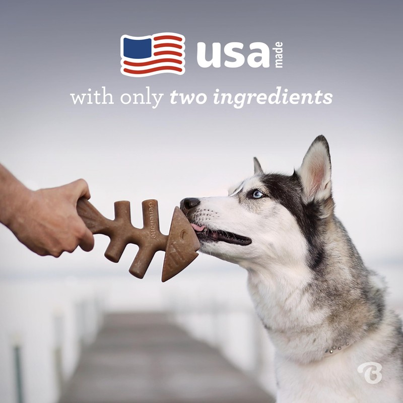 Benebone Benebone Fishbone Durable Dog Chew Toy for Aggressive Chewers,