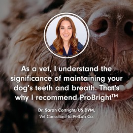 PetLab Co. PetLab Co. ProBright Dental Powder - Dog Breath Freshener - Teeth Cleaning Made Easy C Targets Tartar & Bad Breath - Formulated for Medium Size Dogs