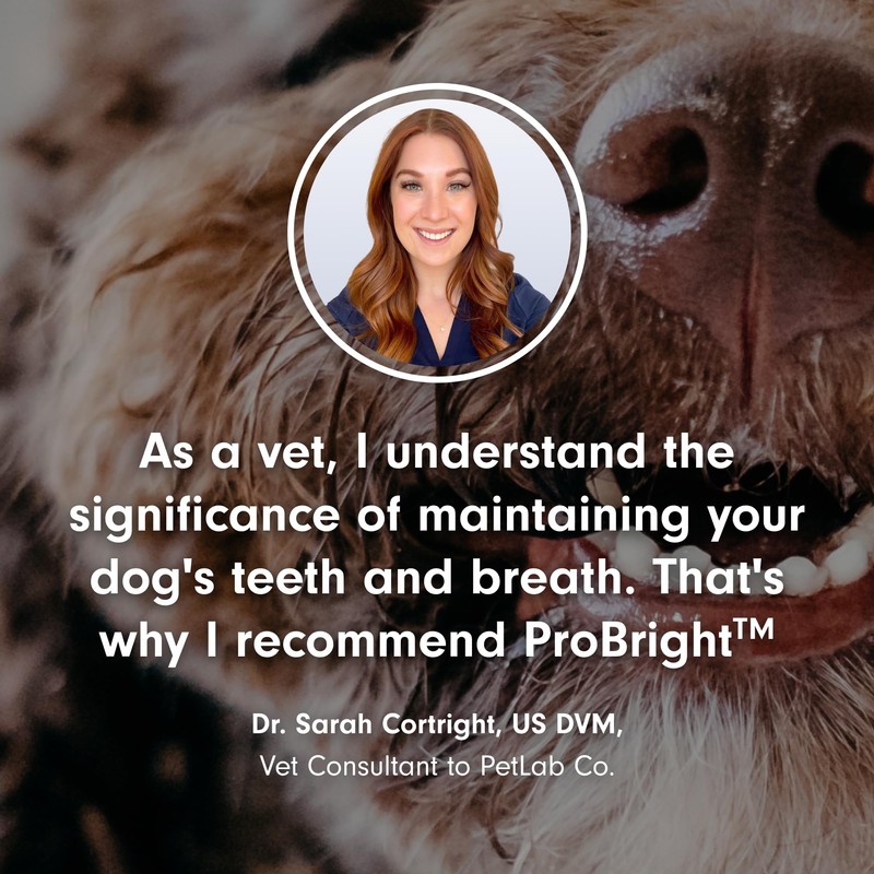 PetLab Co. PetLab Co. ProBright Dental Powder - Dog Breath
