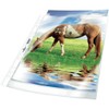 Durable 267619 Document Sleeves (DIN A4 Premium, Extra Strong, 0.08