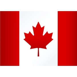 Canadian Flag Disability Hindrance Obstacle Impaired Hinder Impede Hamper Holiday Gift Decorating Ideas Girl Boy Bedroom Wall Decal Sticker - Size: 14 Inch x 20 Inch