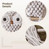 Packool Owl Macrame Wall Hanging, Bohemian Handmade Wall Decor Cute