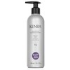 Kenra Professional Kenra Smoothing Blowout Lotion 14 | Ultra-Fine Blowout