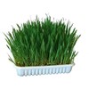 KERBL Nagergras (Tiergras mit 100 g, 20 x 14,6 x