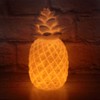 The Glowhouse Colour Changing Pineapple Mood Light Table Lamp Lighting