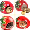 bangminda Small Animal Hideout Ceramic for Pets Hamster, Strawberry Shape,