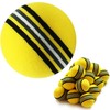 SEAVER GOLF 20 Yellow Golf Practice Balls