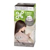 Liese Bubble Color Smoky Ash Gray Hair Color for Black