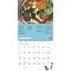 Willow Creek Press 2020 Tasty™ 18-Month Wall Calendar