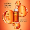 Ceramide Drops 1.01 Fl Oz, Oil-Like Formula for Skin Barrier,