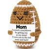 Mini Funny Gifts for Mom from Daughter Son, Mothers Day