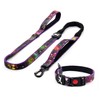 Dog Collar and Leash Set, Bungee Heavy Duty Adjustable Dogs