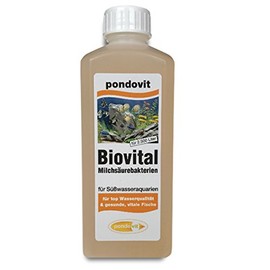 pondovit Lactic Acid Bacteria Biovital 250ml Probiotic Bacteria Water Care