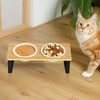 Elevated Cat Bowls Raised Tilted Cat Dishes Ceramic Kitty Food