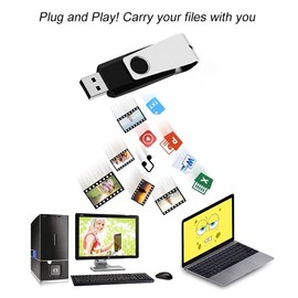 USB Sticks 1GB, 10 Stück RAOYI USB USB-Stick 1GB 2.0, Speicherstick 1GB USB Flash Laufwerk Schwenken mit Metalldeckel für Computer-Nähmaschine, Laptop/PC/TV/Autoradio, Schwarz