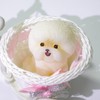 Big Taba Squishy Bichon Frise Puppy - Realistic Silicone Animal