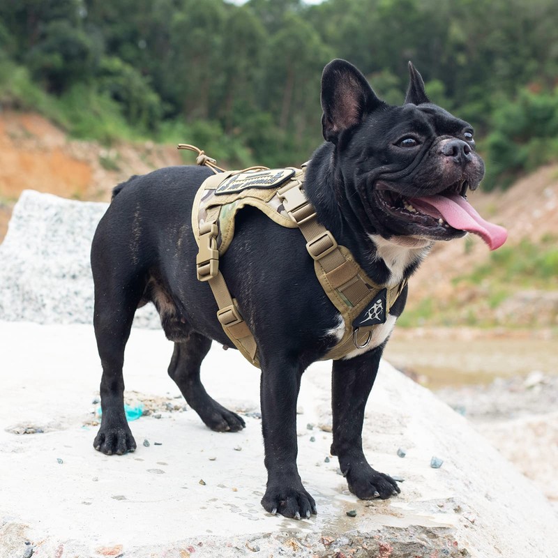 OneTigris Fire Watcher Tactical Dog Harness, MOLLE Safety Harness, Service