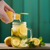 KLEHOPE Lemon Squeezer Small, 2 Pieces Lime Squeezer, Manual Citrus