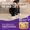 Wellness Complete Health Pate Adult Wet Cat Food, Natural, Protein-Rich,
