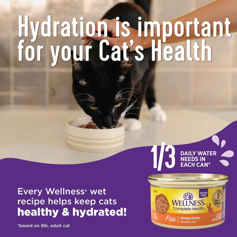 Wellness Complete Health Pate Adult Wet Cat Food, Natural, Protein-Rich,