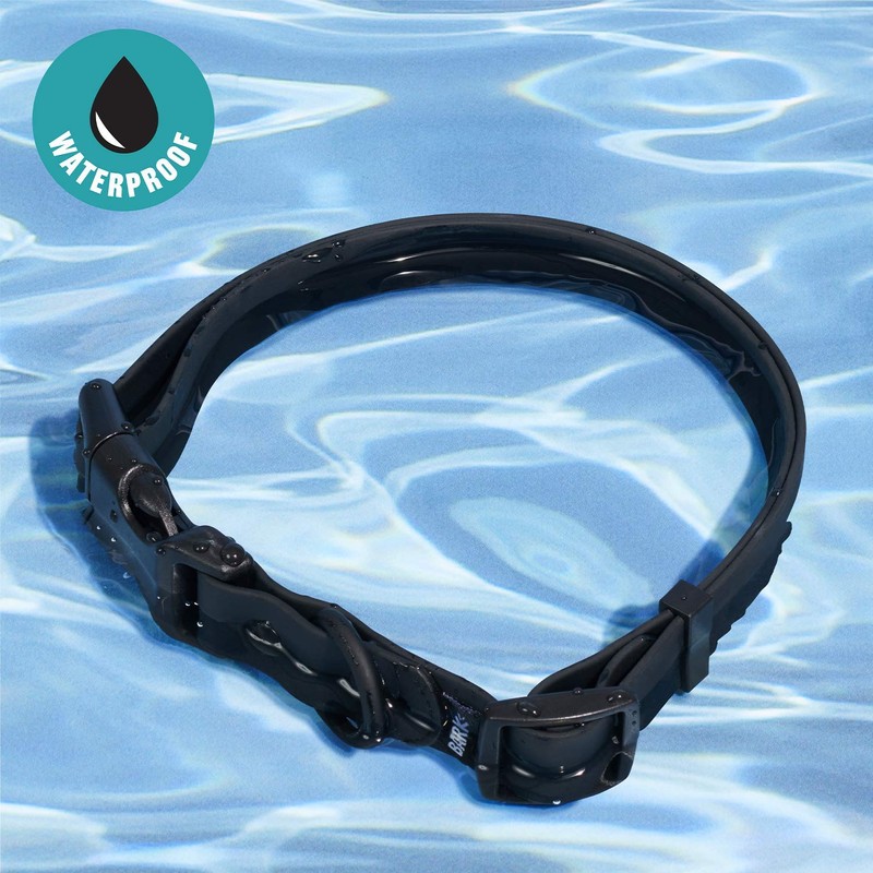 BarkBox Customizable Dog Collar (Small, Black)