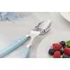 Annova Cutlery Set 20 Pieces Stainless Steel Color Handle with