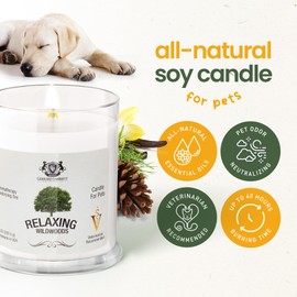 Gerrard Larriett - Deodorizing Soy Candles for Pets, Scented Candles for Removing Pet/Household Odors, Lasts up to 40 Hours, White Candles for Home Scented with Relaxing Wildwoods Fragrance, 10 oz