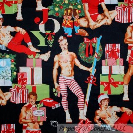 Alexander Henry BonEful Fabric FQ Cotton Quilt Xmas Tree Gay Pride Sexy Boy Pin Up Santa PJ Ski