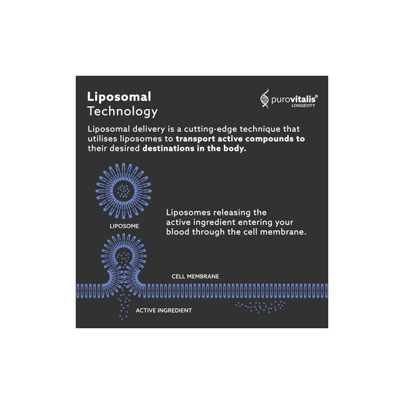 PUROVITALIS Liposomal Spermidine 5mg, Zinc, Vitamin D3 & B12, 30