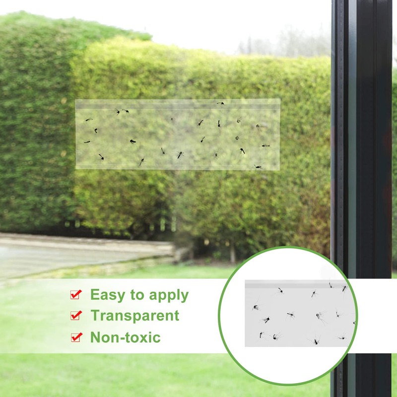 LFSYS 50 Pack Window Fly Trap, Fruit Fly Traps for