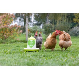Kerbl Futterautomat mit Stand-Füßen, für Geflügel (Küken/Hühner/Enten), lebensmittelecht, Mit Motiv „Love My Ladies“ (2 kg)