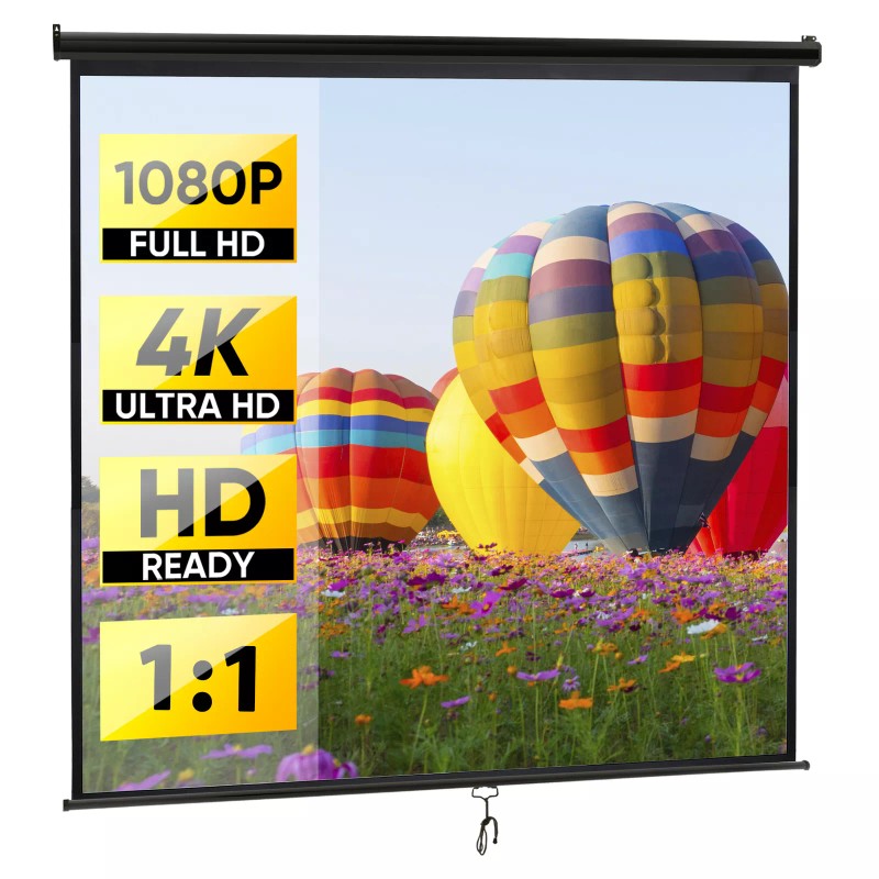 Segawe 120'' Projector Screen Projection Screen Manual Pull Down HD