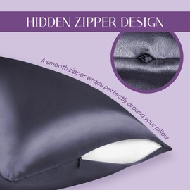 OLESILK 100% Silk Cushion Cover Hair and Skin Care with Hidden Zip 19 Momme 2 Pieces Charcoal 40 x 80 cm