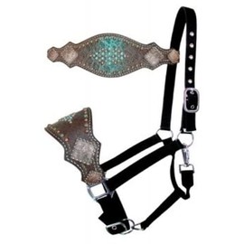 Showman Nylon Bronc Halter w/Teal & Brown Alligator Leather Noseband